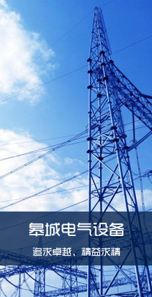 江蘇皋城電氣有限公司 江蘇皋城電氣有限公司